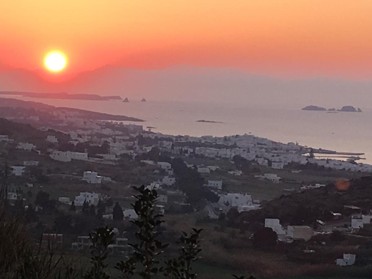 Paros Villas Nereids Exterior photo